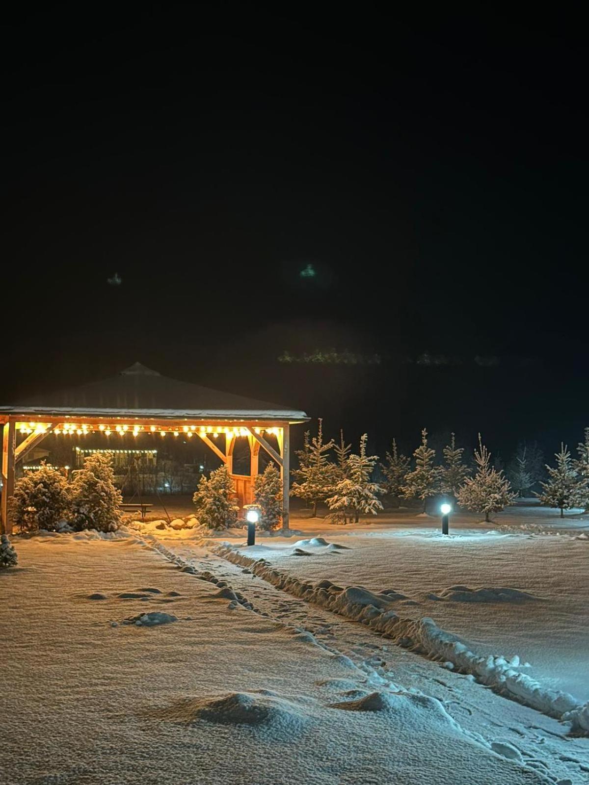 Domki Nad Sanem Bachorzec Dubiecko Exterior photo